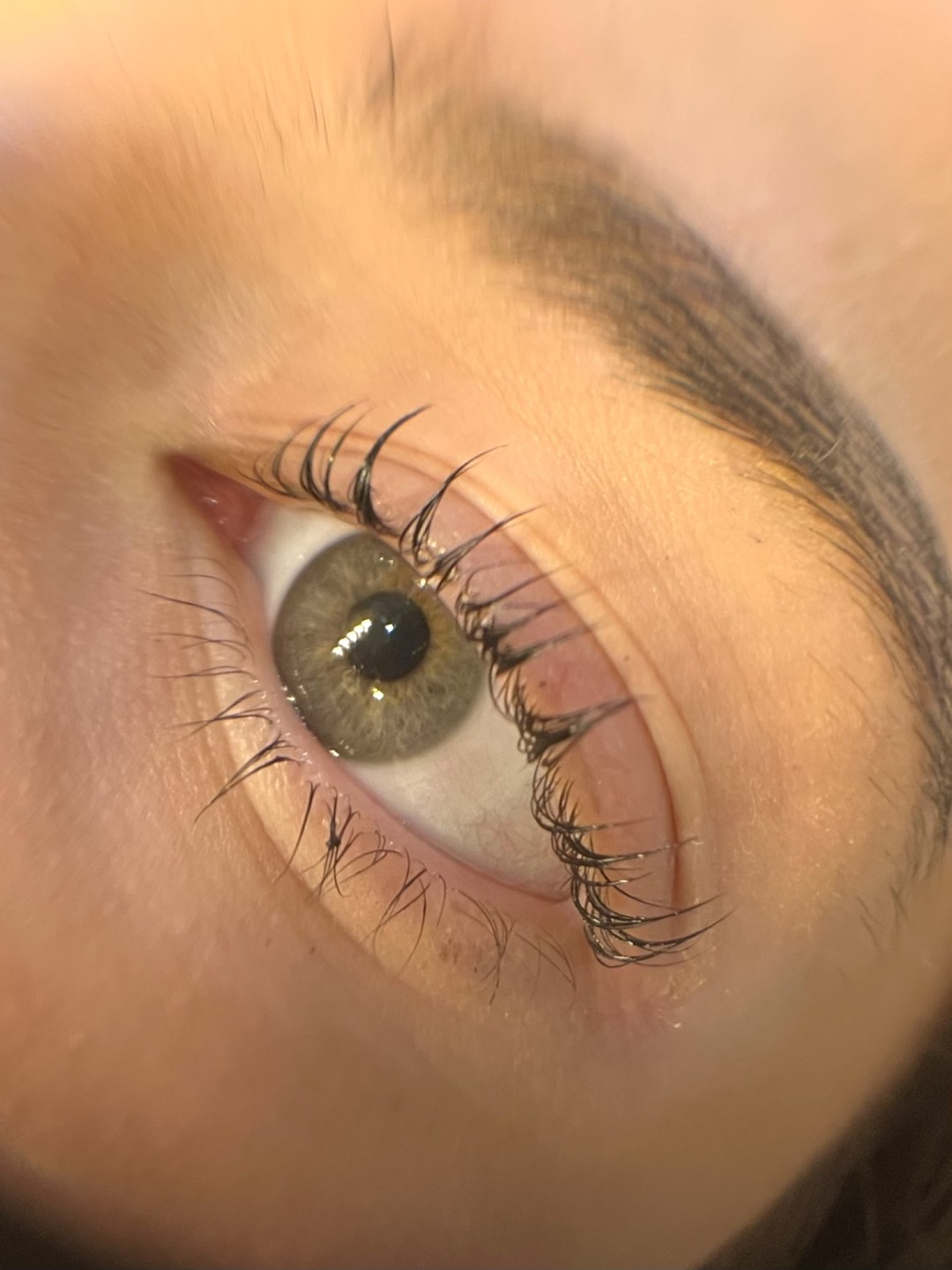 Mia’s Beautique #zagreb Trepavice Lash lift + bojanje trepavica