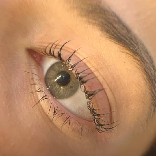 Mia’s Beautique #zagreb Trepavice Lash lift + bojanje trepavica