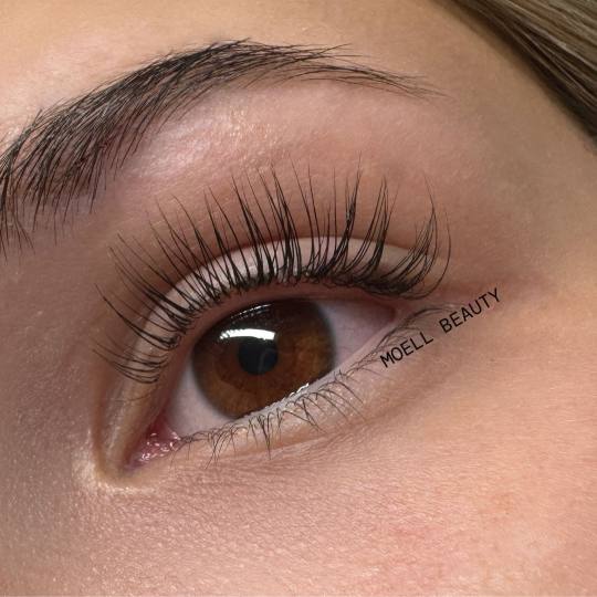 MOELL beauty #zagreb Trepavice Lash lift + bojanje + 3D filler Lash lift -MOELL BEAUTY