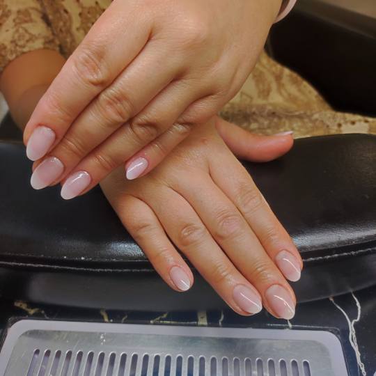 Roses & friends usluga