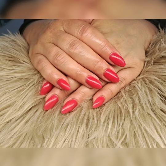 Posh Palace #velika-gorica Manikura Nadopuna gela