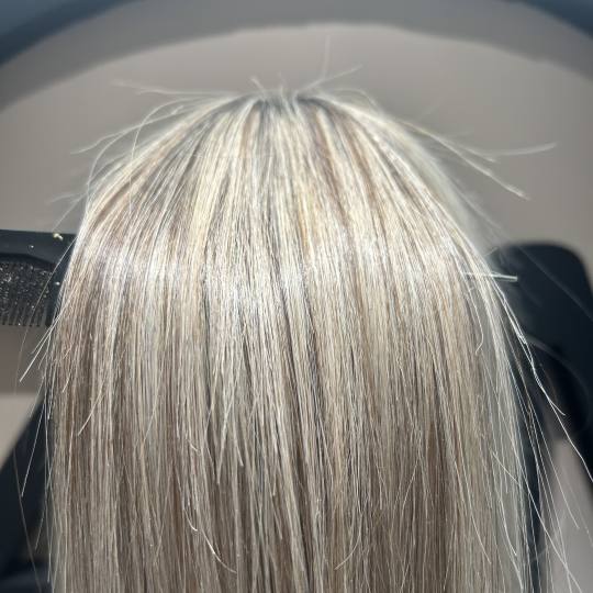 Zen follows beauty usluga