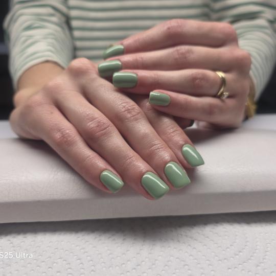 Dany Nails #zapresic Gel lak Trajni lak - S dužina