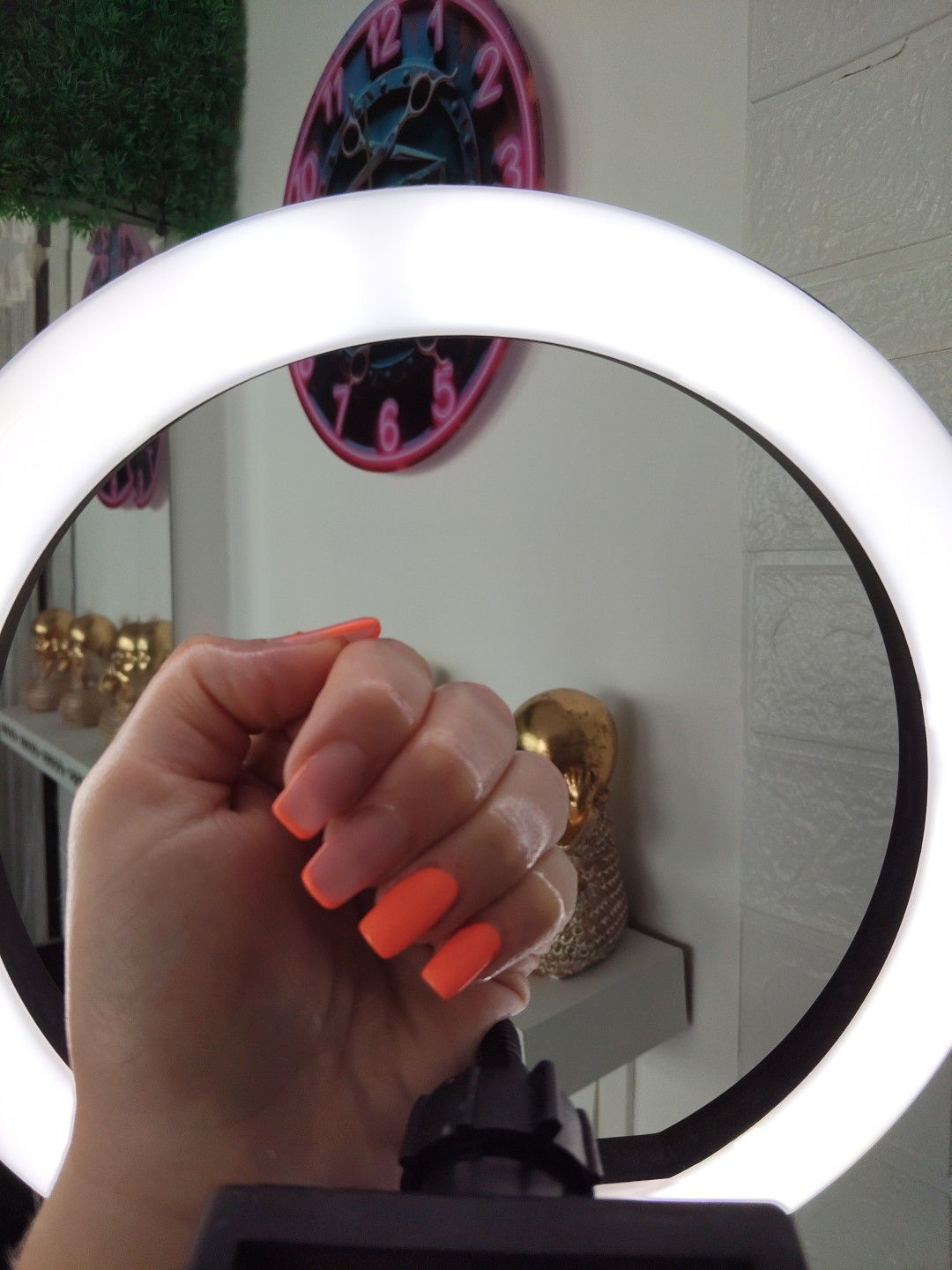 JZ Beauty & Barber #krapina Nadogradnja noktiju Ugradnja noktiju - M dužina