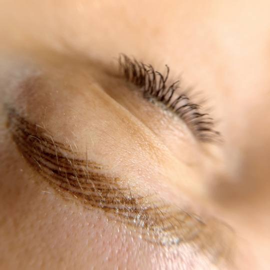 SABRINA STRIJA BEAUTY & SPA #zagreb Trajna šminka PMU realistic brows