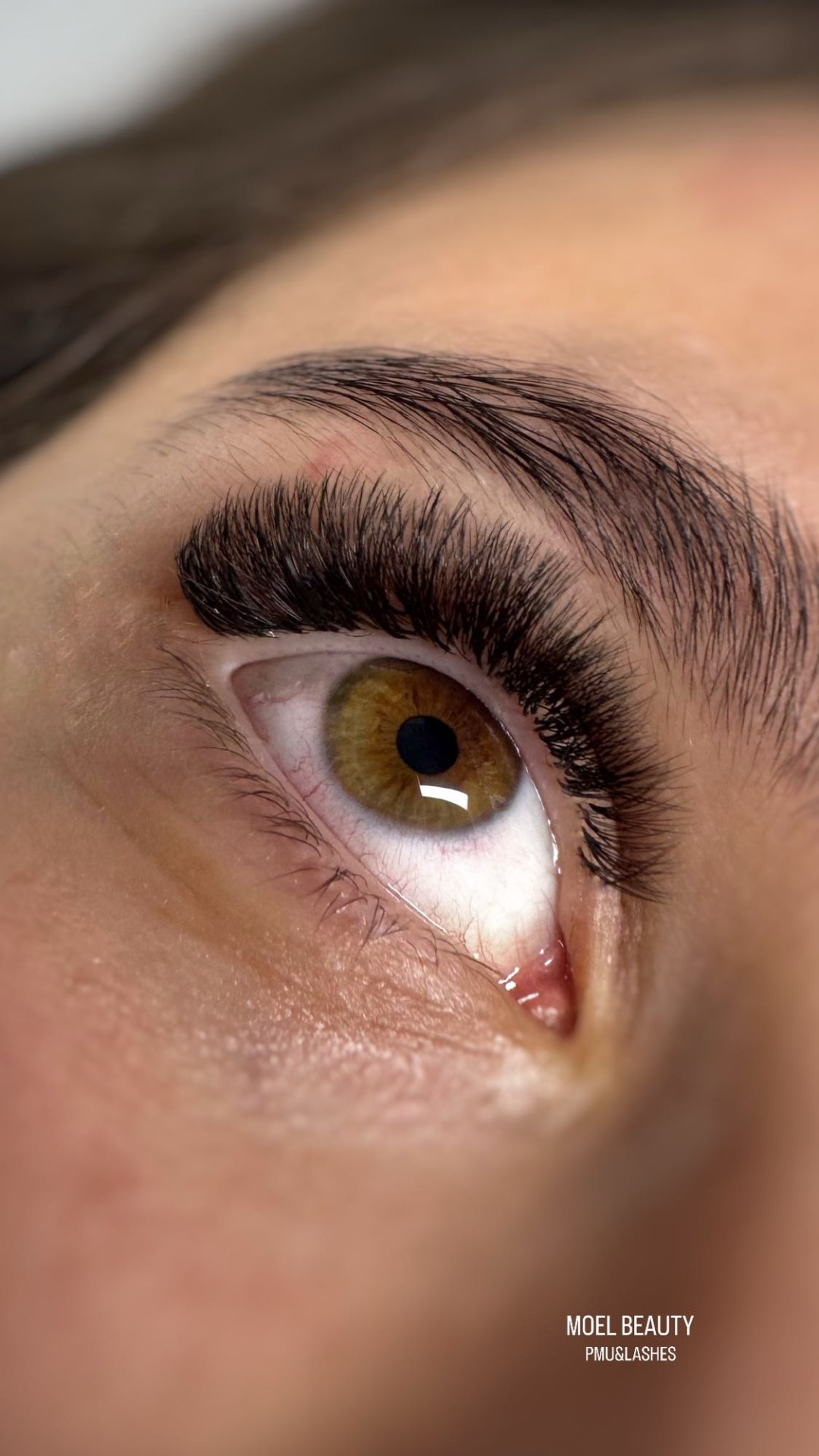 Ugradnja volumenskih trepavica - MOELL beauty, Zagreb Nadogradnja trepavica Lice Nadogradnja trepavica, Zagreb, Peščenica – Žitnjak