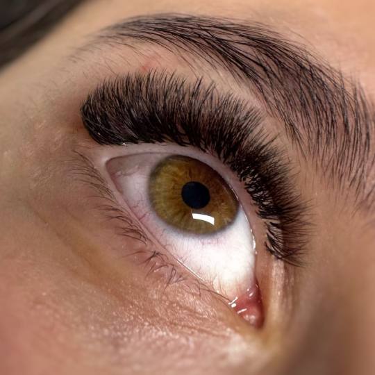 MOELL beauty #zagreb Nadogradnja trepavica Ugradnja volumenskih trepavica