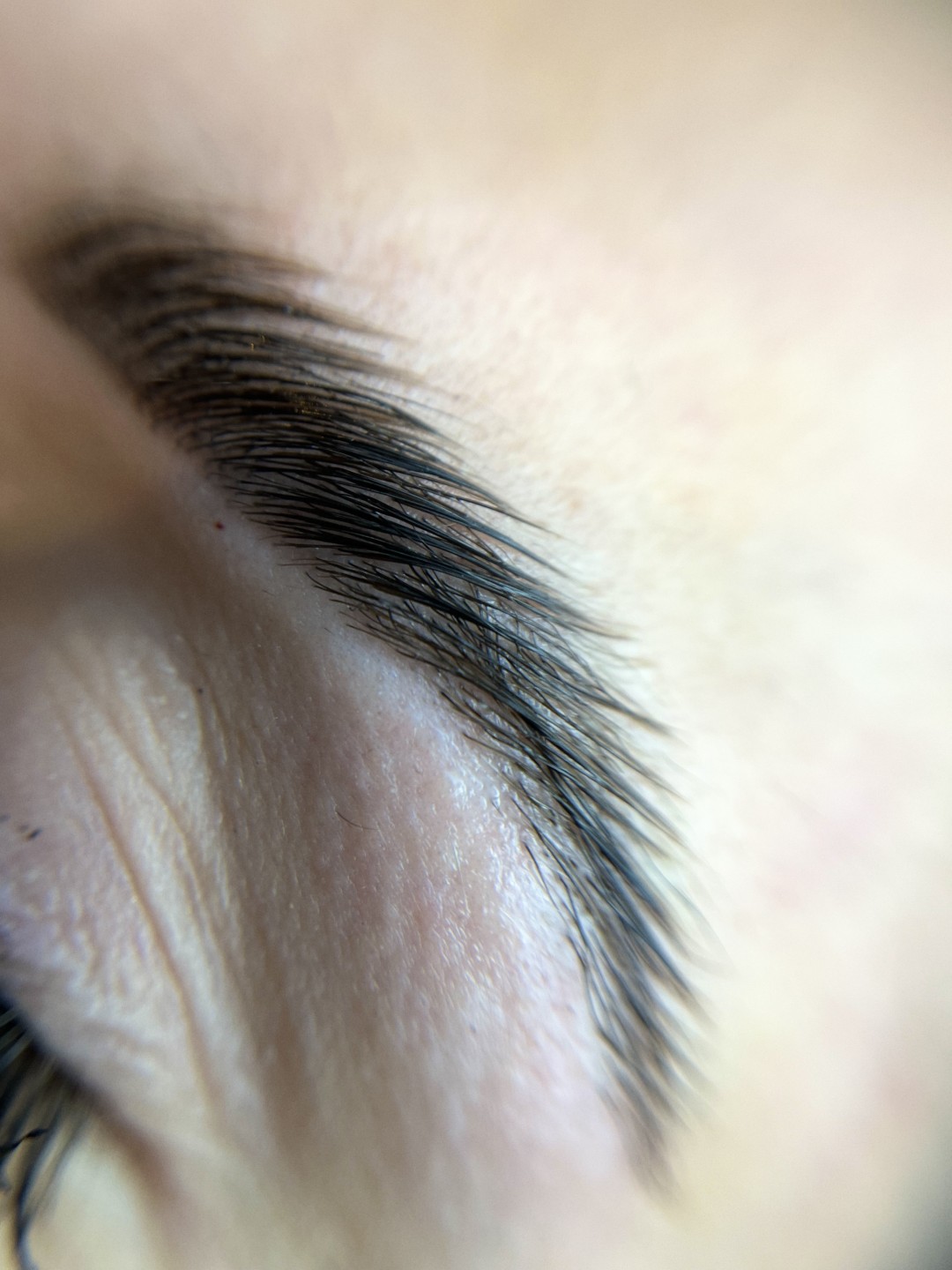 Ema Jokić Beauty & Lashes Academy #zagreb Trepavice Brow lift