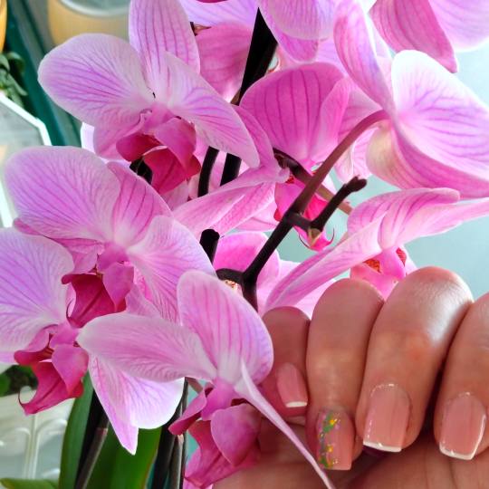 JZ Beauty & Barber #krapina Lakiranje noktiju Trajni lak - ruke