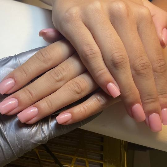 Lash and Brow studio usluga