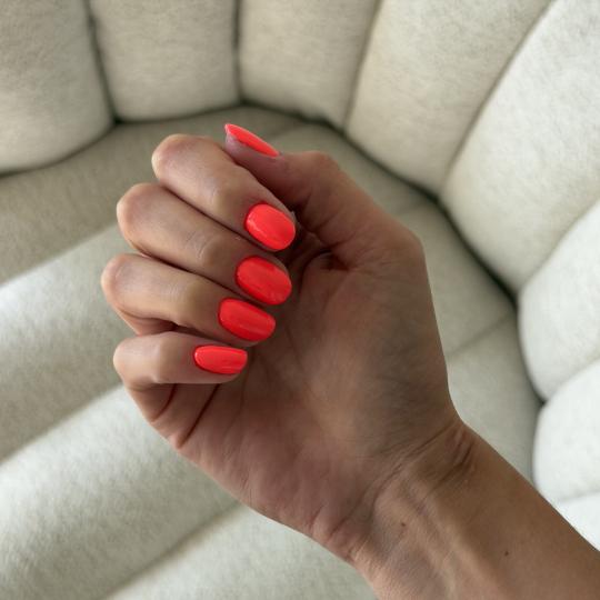 STUDIO NÉA #zagreb Gel lak Gradivni trajni lak - kratki nokti