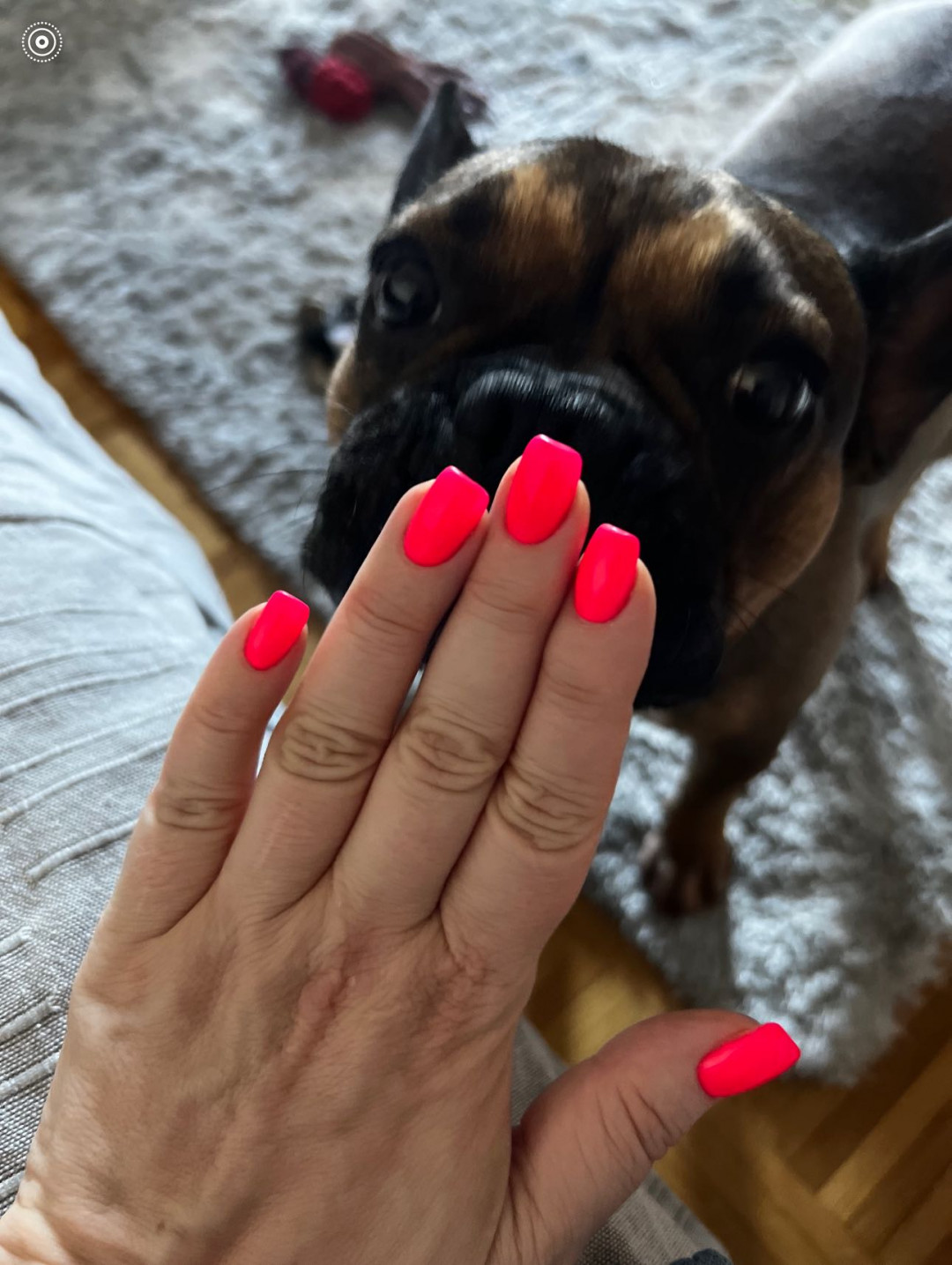 Njega ruku: TRAJNI LAK S MANIKUROM - Vision of You 2.0, Zagreb Gel lak Nokti Gel lak, Zagreb, Gornji grad – Medveščak