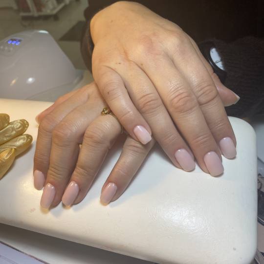 Lash and Brow studio usluga