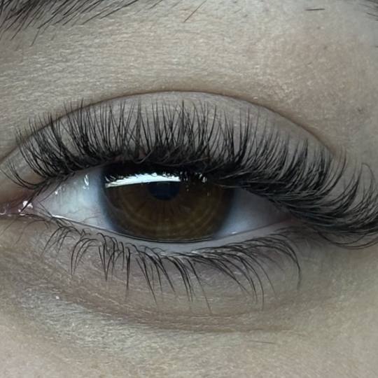 Sis Beauty Room #zagreb Nadogradnja trepavica Ugradnja volumenskih trepavica