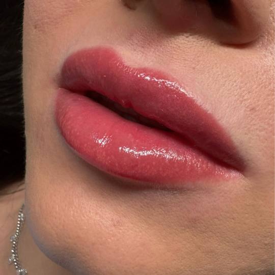 MOELL beauty #zagreb Trajna šminka Mikropigmentacija usana /Lip blush