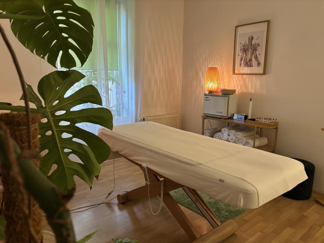 Corpus Sanum #zagreb