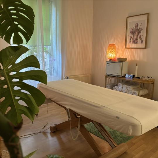 Corpus Sanum #zagreb