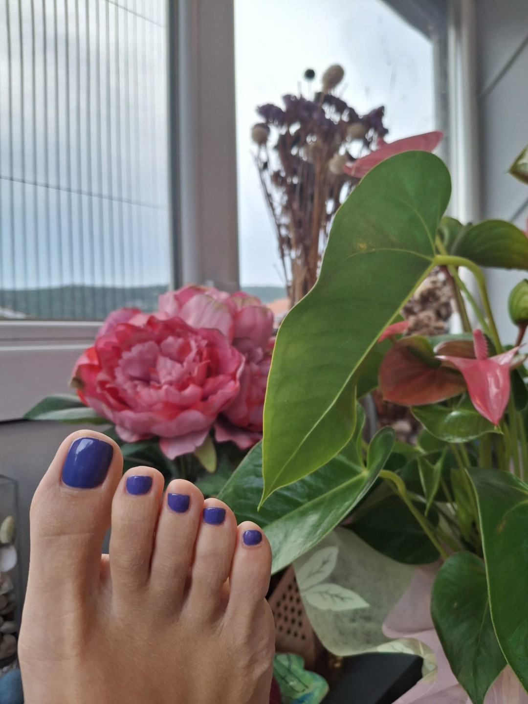 Ayu Beauty #rijeka Gel lak Trajni lak - noge