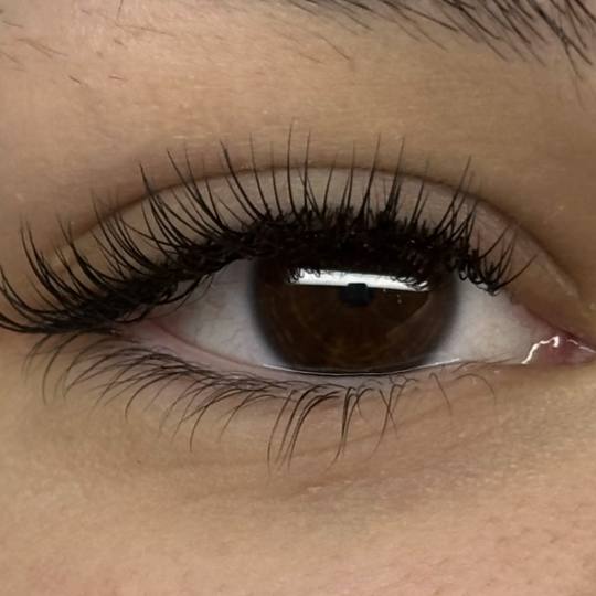 Sis Beauty Room #zagreb Nadogradnja trepavica Ugradnja klasičnih trepavica