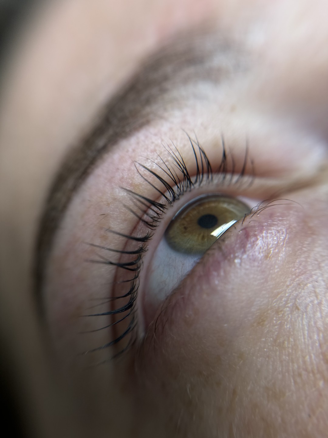 Stellaria beauty studio #velika-gorica Obrve Lash lift + brow lift + bojanje + 3D filler