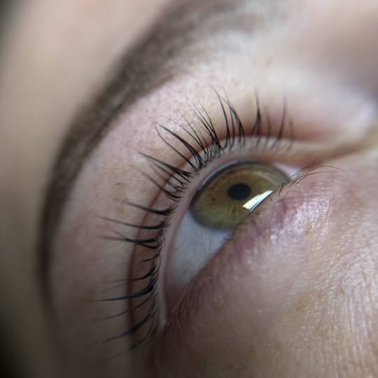 Stellaria beauty studio #velika-gorica Obrve Lash lift + brow lift + bojanje + 3D filler