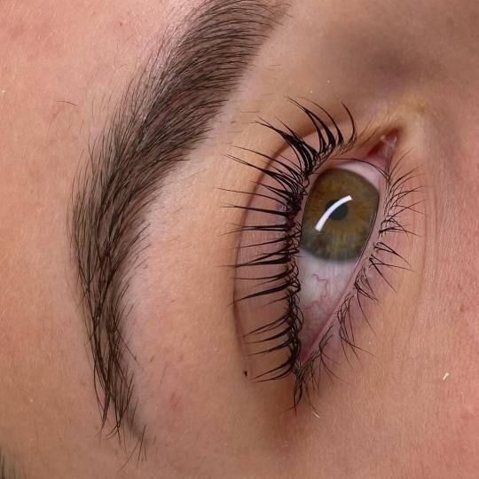 Lash and Brow studio usluga