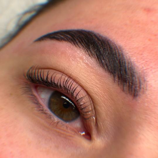 Zen Spot #zagreb Obrve Lash lift + brow lift + bojanje