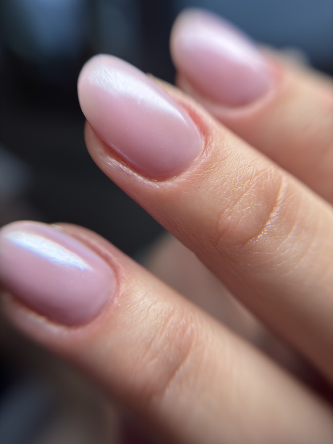 Stellaria beauty studio #velika-gorica Gel lak Korekcija M dužina