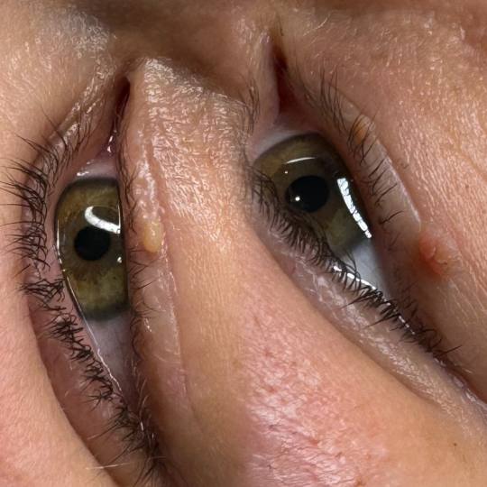 Vanja’s Beautique usluga