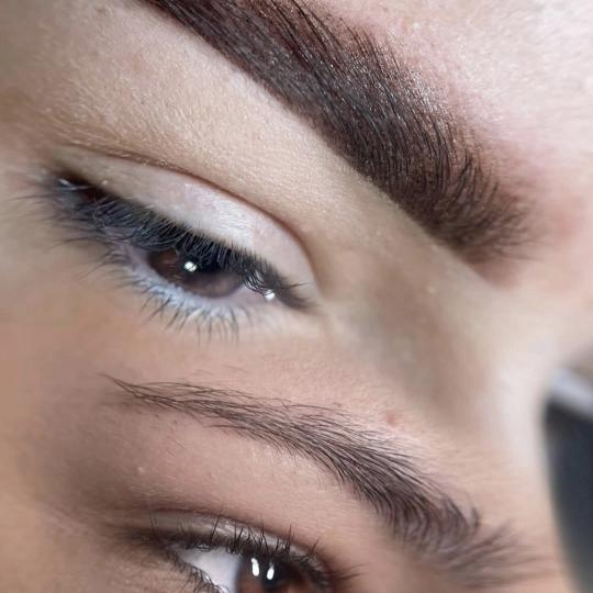 Guardian Beauty House Academy #zagreb Puder obrve Puder obrve Lice
