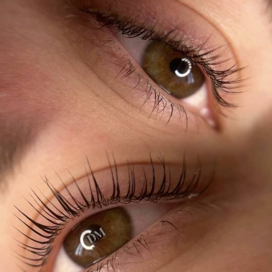 D'Arte Beauty Studio #velika-gorica Trepavice Lash lift