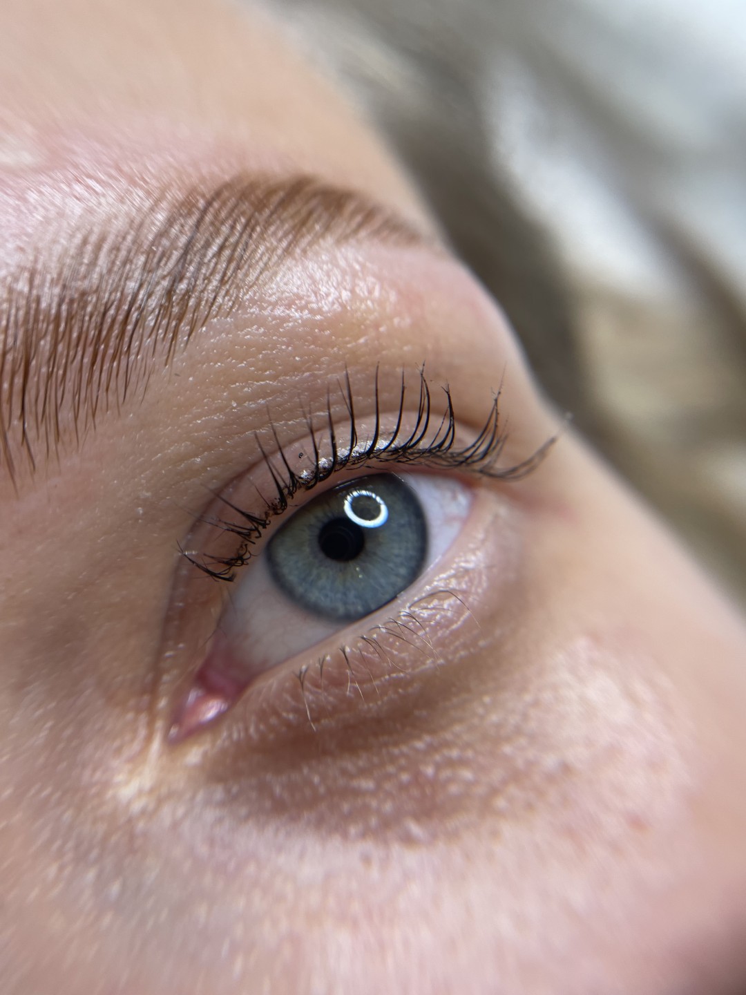 G. Beauty #zagreb Trepavice Brow lift + lash lift