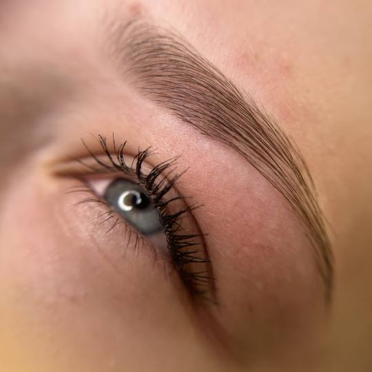 D'Arte Beauty Studio usluga