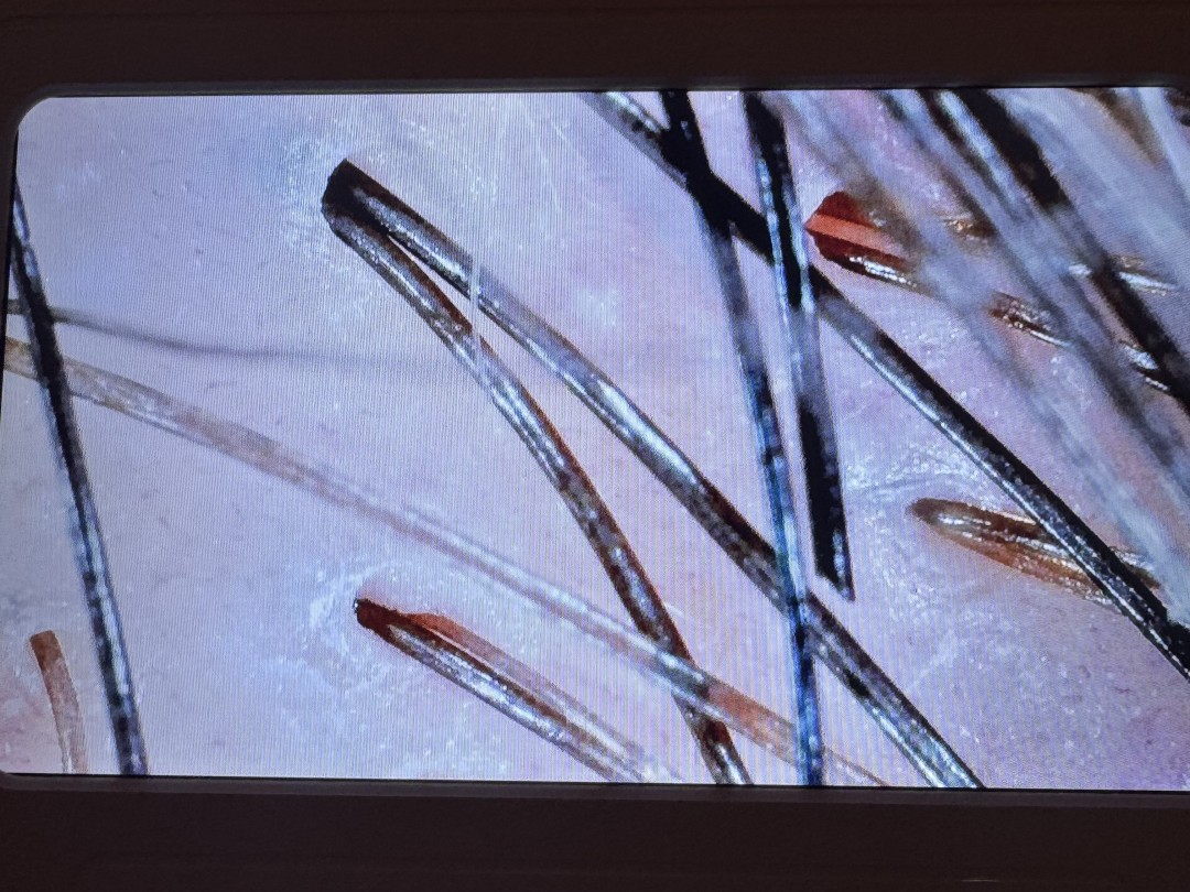 Yoko #jastrebarsko Masaža glave Japanski head spa + analiza vlasišta + sušenje kose za dame - 120 minuta