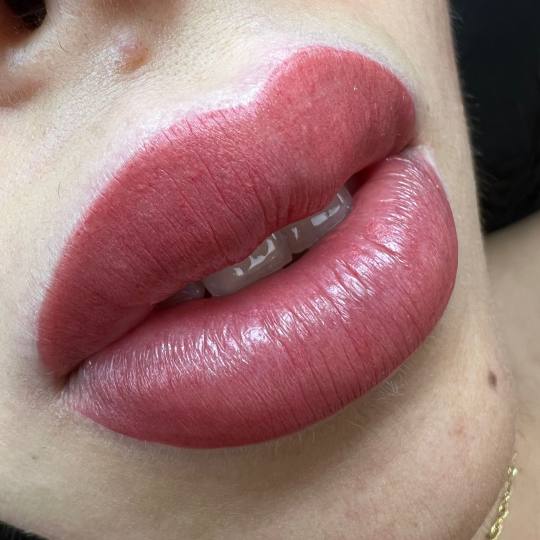 Antiage beauty room Lady Goga #zagreb Trajna šminka Trajna šminka usana - mikropigmentacija