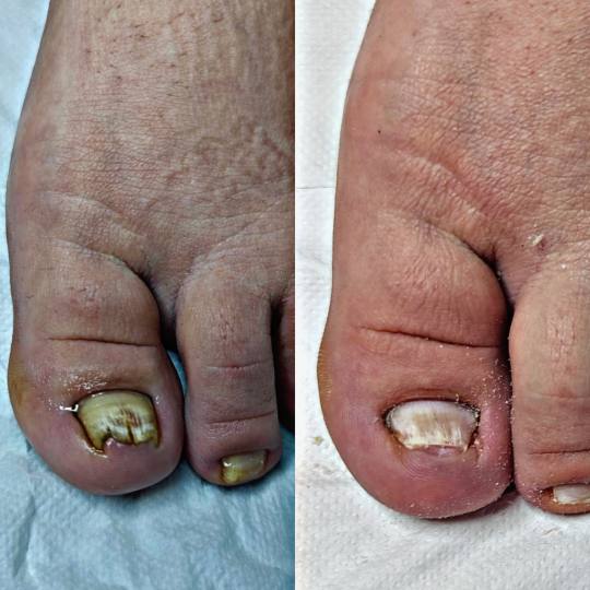 Roya Beauty & Hair Studio usluga