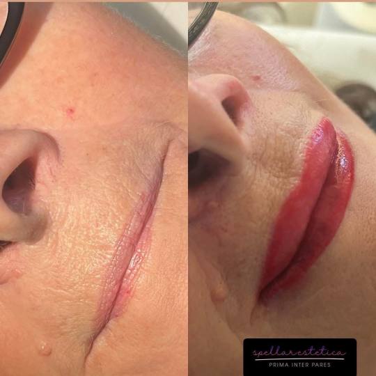 Spellar - Križ usluga