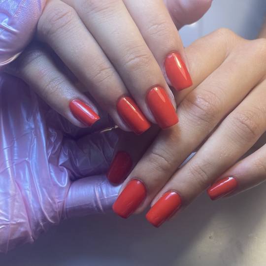 Lash and Brow studio usluga