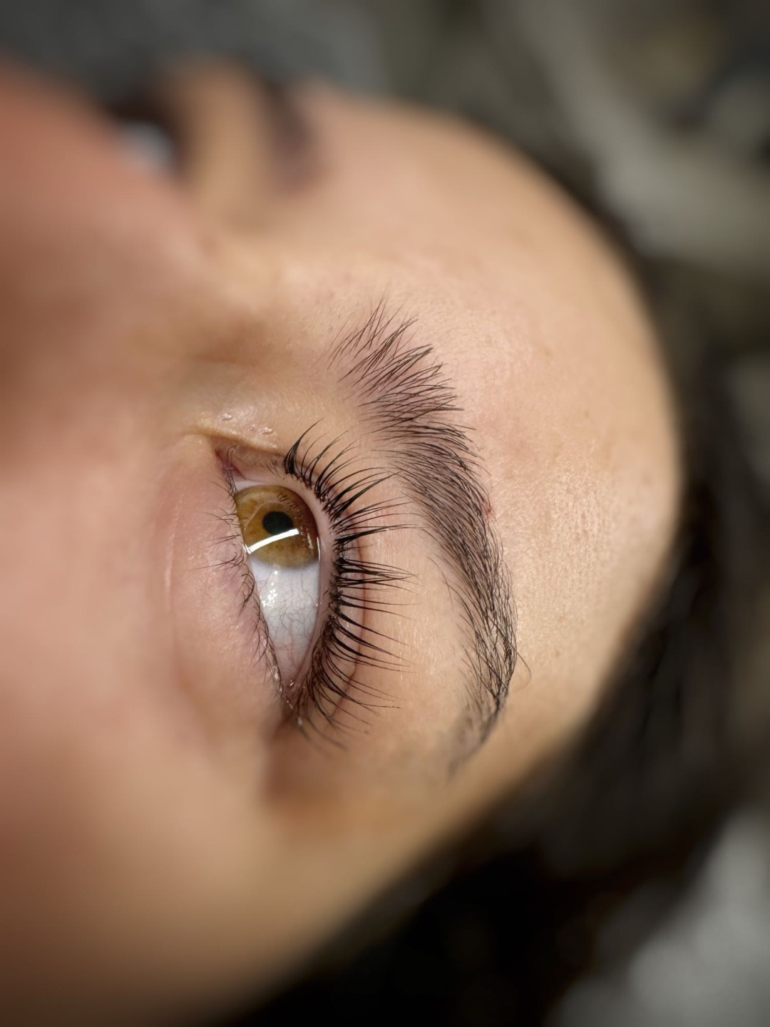 Lash lift + bojanje + 3D filler - MOELL beauty, Zagreb Trepavice Lice Trepavice, Zagreb, Peščenica – Žitnjak