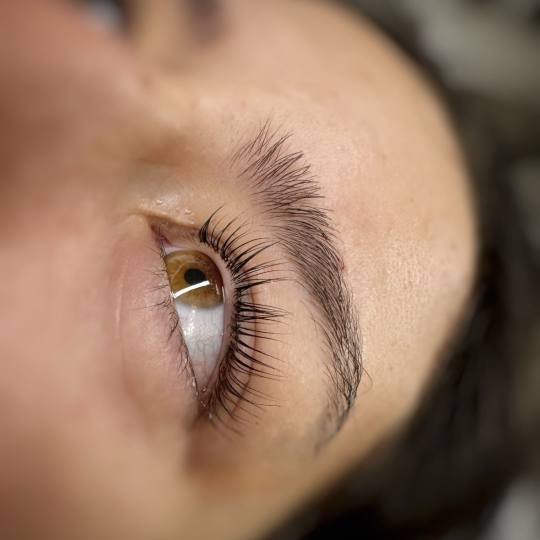MOELL beauty #zagreb Trepavice Lash lift + bojanje + 3D filler