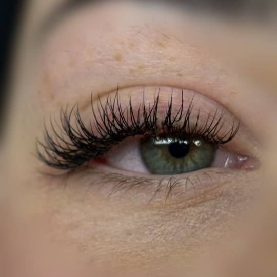 Sis Beauty Room #zagreb Nadogradnja trepavica Ugradnja klasičnih trepavica