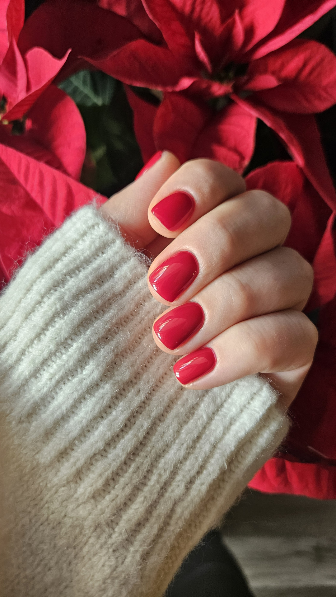 Ruska manikura + trajni lak / obični lak - Manikult, Zagreb Manikura Nokti Manikura, Zagreb, Maksimir