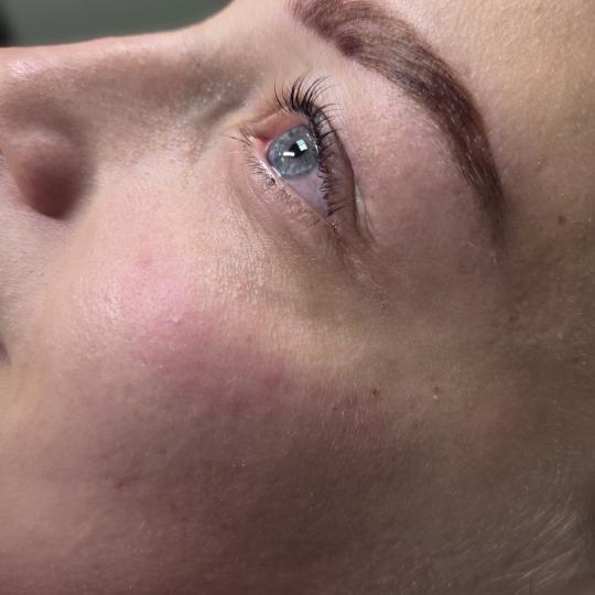 Daniva brow and beauty usluga