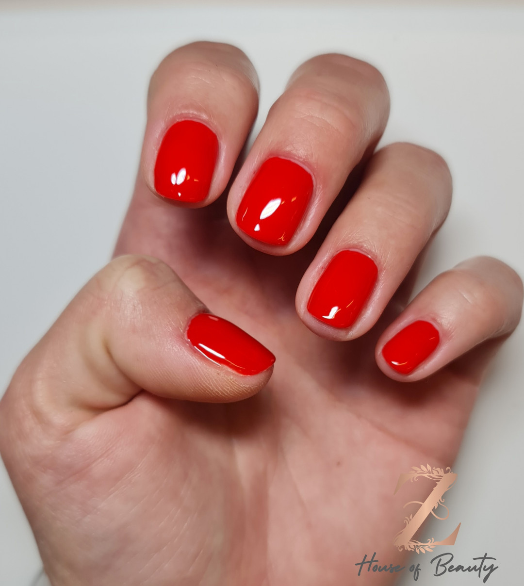 Z House of Beauty #zagreb