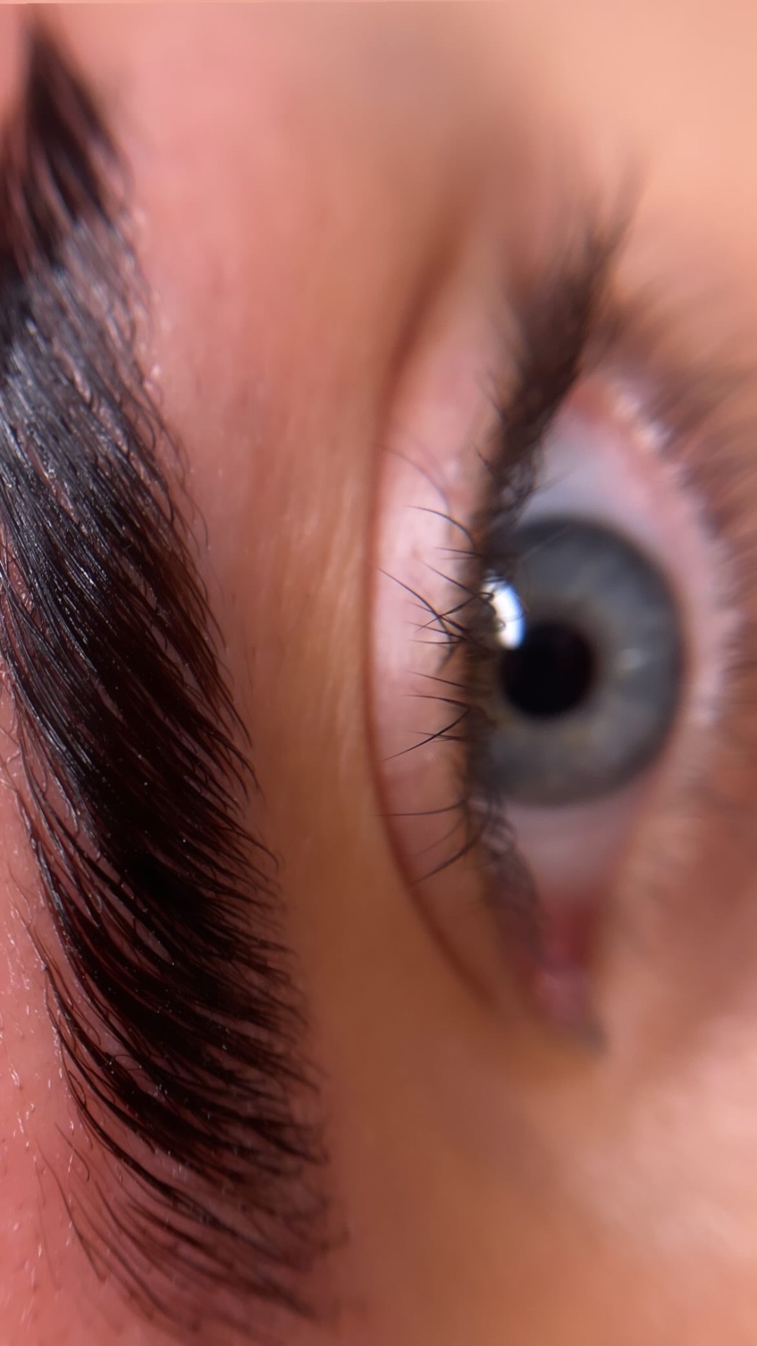 G. Beauty #zagreb Obrve Brow lamination + bojanje obrva