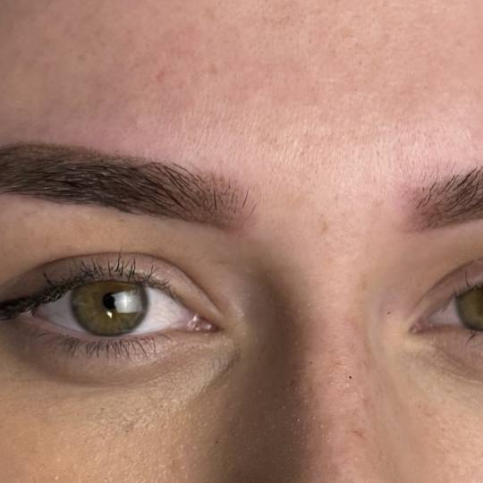 Hathor beauty room #zagreb Trajna šminka Puder obrve