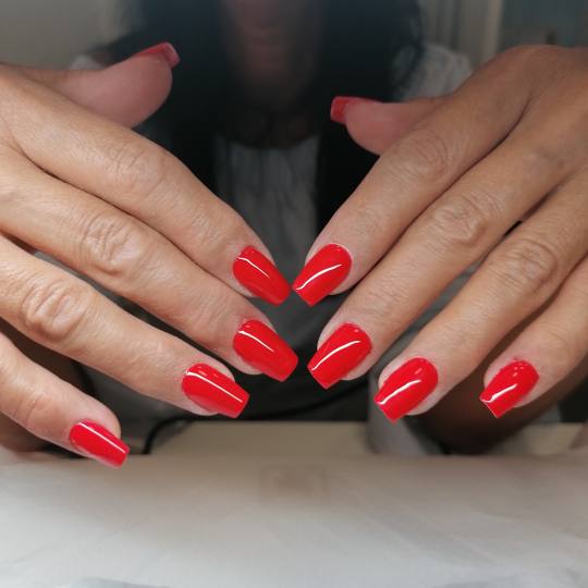 House of Beauty usluga