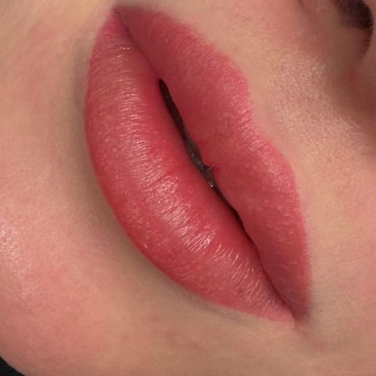 Moel beauty #zagreb Trajna šminka Mikropigmentacija usana /Lip blush