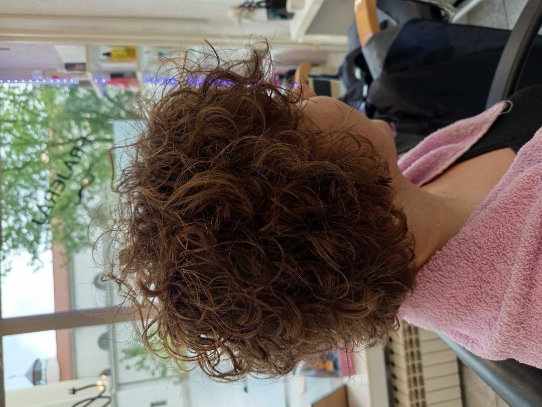 Wikleraj & Frajeraj #zagreb Minival Minival - kratka kosa