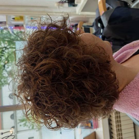 Wikleraj & Frajeraj #zagreb Minival Minival - kratka kosa